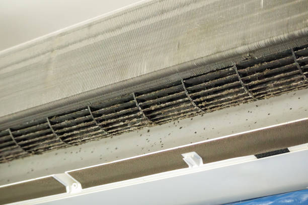 Best Duct Cleaning for Homes  in Vincent, AL
